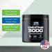 STS Creatine 300g - 100% Pure Raw Creatine Monohydrate Powder | Keto Friendly | 60 Servings - Buy Online on GoSupps.com