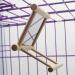 Hanging Bird Mirror Swing Toy - Interactive Play for Small Parrots & Birds - 2PCS - Buy Online on GoSupps.com