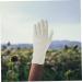 VINTORKY 15 Pairs Overnight Moisture Gloves Stretchable Gloves Lotion Gloves Overnight Healing Diving Jewelry Inspection Gloves Overnight Gloves Black White Cotton Women's Coin spa - Buy Online on GoSupps.com