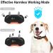 PcEoTllar Electric Fence for Dogs Rechargeable Underground Dog Fence System 2 dogs Receivers Waterproof Collar with 656Ft Underground Boundary Wire For 2 dogs - Buy Online on GoSupps.com