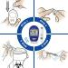 Glucoleader Enhance Blood Glucose Monitor Kit - 10+50 Test Strips & Lancets - CE Approved, ISO Certified - Made in Taiwan - Blue Meter - Buy Online on GoSupps.com
