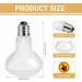 Caldarax 2 Pack Reptile Heat Lamp Bulb 50W E27 Daylight Basking Spot Bulb UV Heat Bulb for Reptiles Tortoise Bearded Dragon Snakes Lizards Chicks 50.0 - Buy Online on GoSupps.com