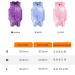 Yoolhamy Katzenbody Professional Recovery Suit for Cats | Post-Op Castration & Abdominal Wound Care | E-Collar Alternative | Blue - Buy Online on GoSupps.com