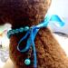 RayMinsino Dog Cat Necklace - Adjustable Blue Collar with Pearl Bone Pendant for Small Pets - Buy Online on GoSupps.com