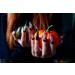 30 Pcs Halloween Press on Nails - Red Long Stiletto Fake Nails with Cat's Eye Design | Stick on Almond Style for Women | Perfect Holiday Nail Art - Buy Online on GoSupps.com
