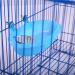 QBLEEV Bird Baths Tub with Mirror - Parrot Birdbath Shower Accessories for Small Birds and Parrots - Buy Online on GoSupps.com