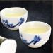 10 sachets de th Anxi Oolong Tieguanyin Tea Iron Can Gift Package TiKuanYin Th Vert (Total 155g) - Buy Online on GoSupps.com