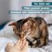 AmeizPet Calming Cat Treats - Healthy 65g (2.3oz) for Stress Relief | Buy Now for Happy Cats - Buy Online on GoSupps.com
