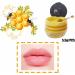 2 Pack Bee Lip Balm for Honey Jar Honey Strawberry Propolis Moisturizing Hydrating and Preventative Exfoliating for Dry Cracked Lips (B) - Buy Online on GoSupps.com