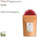 Pink Peppercorns 50g for Grinder - Premium Peruvian Peppertree - Schinus Molle Spice - Buy Online on GoSupps.com