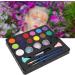 14 Colors Body & Face Paint - Washable Professional Makeup Palettes for Halloween & Parties - Buy Online on GoSupps.com