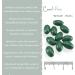 Canimove Senior Mini Double Pack - 200 Capsules for Eye & Brain Support | Veterinary Supplement for Dogs - Buy Online on GoSupps.com