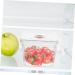 Zerodeko Box Refrigerator Crisper Baby Food Fruit Storage Containers Egg Holder Refrigerator Vegetable Onion - Buy Online on GoSupps.com