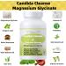 YNATUREY Candida Cleanse - Gut & Colon Support Magnesium Glycinate 600mg Women and Men Supplement with Magnesium Malate Vitamin D B6 for Gut Support & Sleep for Adults 60 Capsules - Buy Online on GoSupps.com