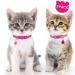Taglory Reflective Cat Collar with Safety Clasp & Bell - 2-Pack Adjustable Hot Pink Collars for Cats & Kittens (15-20cm) - Buy Online on GoSupps.com