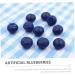 Alipis 150 Pcs Simulation Blueberry Realistic Berry Fake Blueberries Decor Blueberries Photo Prop Fake Blueberry Lifelike Fruits Model Miniature Blueberry Scrapbook Fake Fruit Resin - Buy Online on GoSupps.com