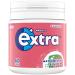 Extra Watermelon Flavour Sugarfree Chewing Gum Bottle 6 x 60 pieces 60 count (Pack of 1)