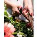 Buy PODERM Nail Polish - Tea Tree Infused Natural & Vegan Swiss Made - Improve Nail Appearance | Powder Pink - Buy Online on GoSupps.com