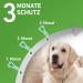 Buy Frontline Combo Spot On for Dogs - Effective Flea & Tick Treatment | Fast International Shipping - Buy Online on GoSupps.com