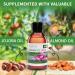 KitaMa Aroma Lotus Massage Oil - Nourishing Thai Body Oil for Relaxation - 250ml - Buy Online on GoSupps.com