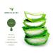 Aloe Vera Gel 99% Pure Soothing Moisturizer for Face, Hair & Skin Care - 4.2 Oz - Buy Online on GoSupps.com