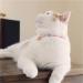 Necoichi Chirimen Cat Collar with Clover Bell Handcrafted in Japan - Pastel Pink, One Size - Buy Online on GoSupps.com