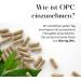 Buy New OPC Grape Seed Extract 90 High-Dose Capsules | 350mg Pure OPC Daily | CO2 Neutral & PETA Certified - Buy Online on GoSupps.com