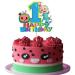 Iaowuir Cartoon melon Birthday Cake Topper, for 1st First Birthday Cake Toppers Decoration Cartoon Melon Theme Party Supplies Baby Shower