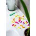 WINGBRUSH Interdental Brush Refill Set XS (ISO 0) - 8 Interchangeable Brushes & Travel Case | As Seen on The Lion's Den - International Shipping Available - Buy Online on GoSupps.com