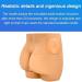 Realistic Hip Injection Training Simulator - Removable Skin & Rectal Module for Buttock Muscle Injection Practice - Buy Online on GoSupps.com