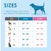 Buy Phoepet No Pull Dog Harness - Reflective Vest with Soft Training Handle for All Dog Sizes - Mint Green & Pink - Buy Online on GoSupps.com