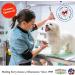 ShowSeason Blueberry Facial 1 Gallon - Luxurious Pet Grooming Treatment - Buy Online on GoSupps.com