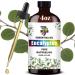 GV77ZF Essential Oil Two 4 Fl Oz (120Ml) Set - Pure Natural Eucalyptus Oil and Jasmine Essential Oil for Diffuser Humidifier Skin Care Home Fragrance Bath Hair Care Cleansing Massage Yoga - Buy Online on GoSupps.com