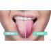 Buy Moum Routes Tongue Cleaner & Copper Scraper - Reduce Bad Breath | Oral Hygiene Tool with Storage Bag | International Shipping - Buy Online on GoSupps.com