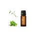 Ippinka Clean Mint Pure Essential Oil with Eucalyptus Globulus Rosemary Teatree Spearmint Made in Japan - 10ml