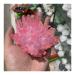 Jukuckv spiritual support of natural color-covered purple crystal clusters beautiful shape excellent color crystal cluster