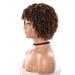Short Kinky Curly Afro Wig with Bangs for Black Women | Natural Hair Wigs in 1T30 - Buy Online on GoSupps.com