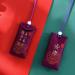 IUYQY Spiritual Salt With Sachet Fragrant Bag Empty Bag Carrying Pouch Bag Hanging Blessings Wishes Good Pendant Style Chinese - Buy Online on GoSupps.com