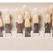 29 Color Porcelain Tooth Whitening Color Keys - Removable Tooth Elevation Table for Accurate Shade Matching - Buy Online on GoSupps.com