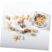 minkissy 1 Box Nail Art Decoration Nail Jewelry Shell Decor Conch Jewelry Nail Decorations for Nail Art Conch Shells Nail Decoration Nail Ornament 3d Nail Stickers Manicure - Buy Online on GoSupps.com