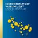 Vaseline Intensive Care Lotion 400ml - Essential Healing Pack of 6 | International Shipping Available - Buy Online on GoSupps.com