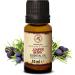 100% Natural Juniper Oil - Essential 10ml - Juniper Berry Oil for Aromatherapy & Diffusers - Fresh Needle Scent from Macedonia - Buy Online on GoSupps.com