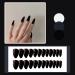 JUSTOTRY 24 Pcs Classy Black Almond Short False Nails Solid Press on Nails Pattern Glossy Fake Nails Short French Oval Medium Stick on Nails for Women and Teens Nails Art 05 black&solid6 - Buy Online on GoSupps.com