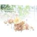 FRCOLOR Comb for Bride Wedding Hair Comb Bridal Hair Comb Women Comb Headpiece Tiara Bridal Comb Hair Comb for Bride Women Hair Comb Dress Headpiece Twisted Ladies Pink - Buy Online on GoSupps.com