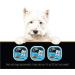 CESAR Adult Wet Dog Food Classic Loaf in Sauce Entr es - Lamb 100g Tray (24 Pack) Lamb 100 g (Pack of 24) - Buy Online on GoSupps.com