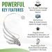 ONLYNERY Magnetic Acupressure Earrings for Weight Loss | Scratch-Resistant Slimming Earrings | Non-Pierced Shiny & Easy to Wear - Buy Online on GoSupps.com