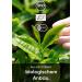 KAIZEN Ichiban Bio Matcha Tea - Ceremonial Grade - Imported from Kagoshima Japan - 30g with UV & Oxygen Protection - Premium Quality Matcha - Buy Online on GoSupps.com