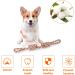 Viewlon Tear Toys Dog Rope - Interactive Chewing Toy 50cm for Small/Medium Dogs - Durable Clean & Fun Playtime! - Buy Online on GoSupps.com