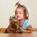 Suxgumoe Dog Hair Bows 36Pcs Mixed Colors - Cute Grooming Bows for Long Hair Dogs & Cats - Buy Online on GoSupps.com