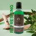 The Man Company Body Wash With Aloe Vera & Matchasoap Free Shower Gel For Glowing & Smooth Skinsls & Paraben-Free - 250 Ml - Buy Online on GoSupps.com